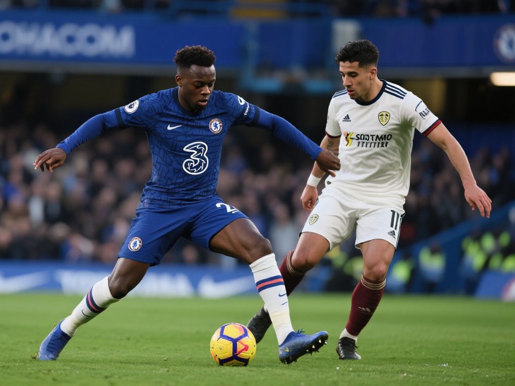 到两队在淘 到两队在淘